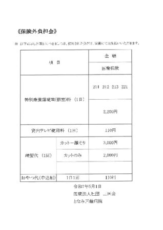 保険外負担金のサムネイル